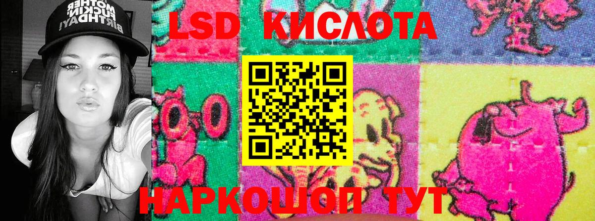 купить закладку  Марки N-bome 1,5мг  Вход с VPN  Марки N-bome 1,5мг  Анжеро-Судженск 