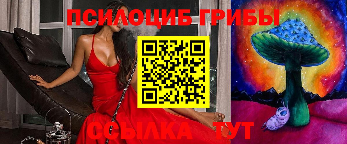 Анжеро-Судженск  Галлюциногенные грибы Magic Shrooms  Вход с VPN  Псилоцибиновые грибы GOLDEN TEACHER 